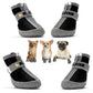 [EXTINCT] Sealassic SafePaw™ Dog Boots