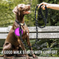 Sealassic™ Reflective Leash